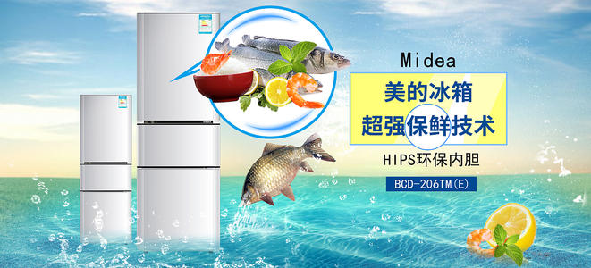 広島大学 Computer Science Degree Certificate